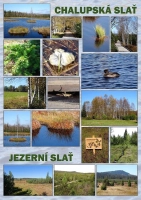 259231fc-jizni-cechy2.webp