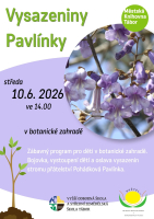 263b10f2-vysazeniny-pavlinky.jpeg