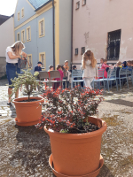 4028ccfe-pasovani9.jpeg