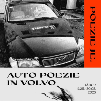 46499d79-poezie7.jpeg