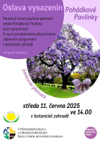 6e3817ce-vysazeniny-pavlinky-na-web.jpeg