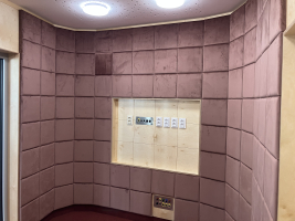 7a92acd3-img-8955.jpeg