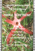 c3ee55dd-haikutedysem.jpg