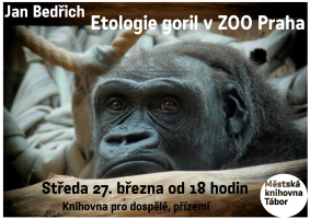 ebdfd662-etologie-goril-.jpg
