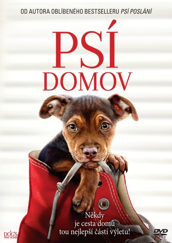 Psí domov