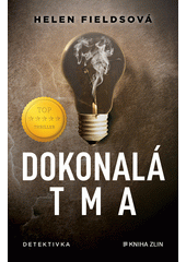 Helen Fieldsová: Dokonalá tma