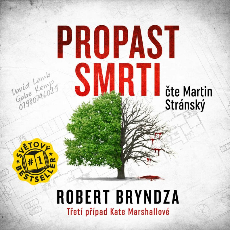 Robert Bryndza: Propast smrti. Třetí případ Kate Marhallové