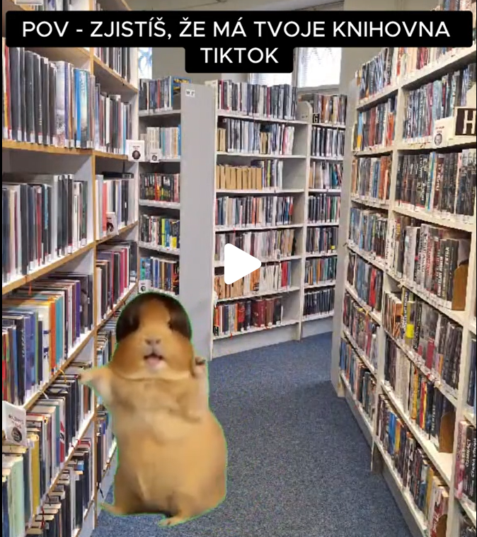 Screenshot TikTok videa