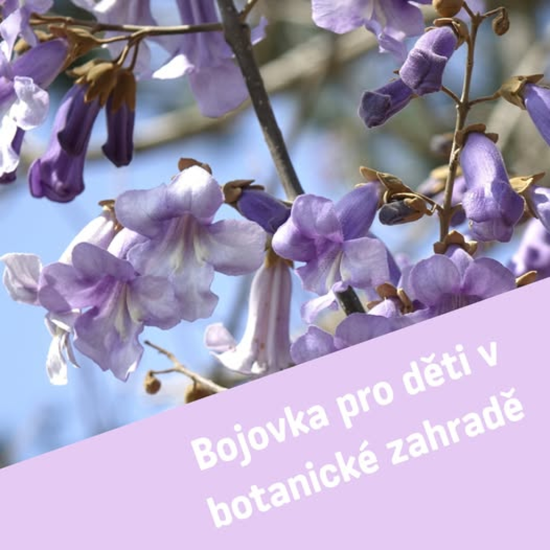 794715ea-bojovka.jpeg