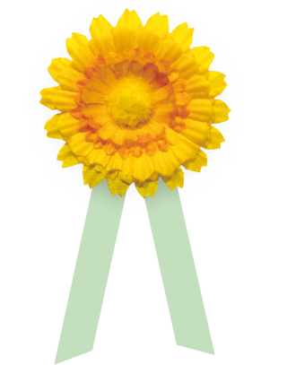 505c6b11-kyticka-pro-web-2025-kratsi-stuzky-orez.png