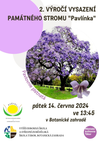 76d59f38-2.vyroci-zasazeni-pavlovnie-1.jpeg