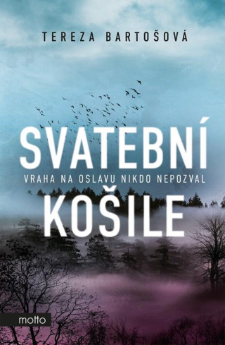 efe2210f-svatebni-kosile.jpeg