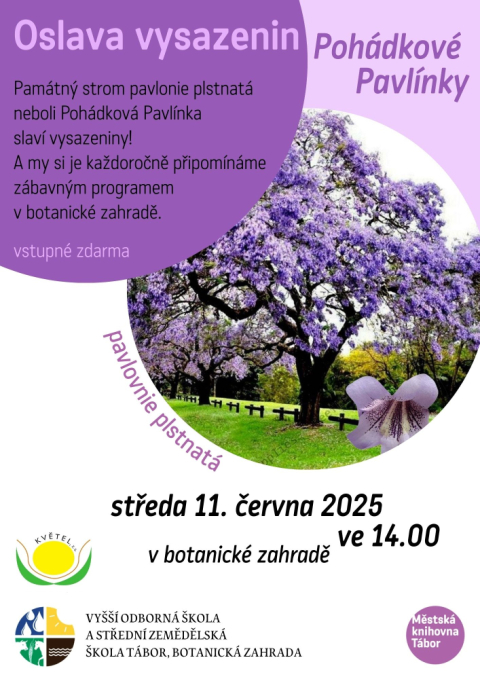 6665e733-vysazeniny-pavlinky-na-web.jpeg