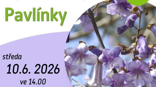 Oslava vysazenin Pavlínky v botanické zahradě