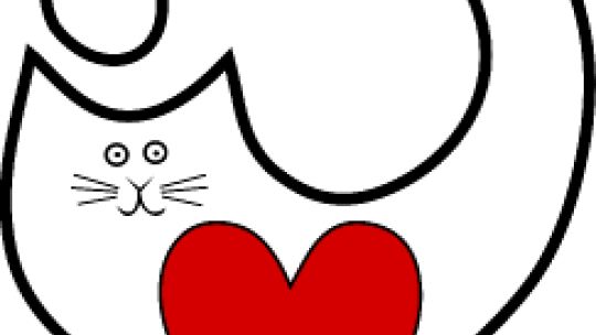 Prodejní výstava Kočka v srdci