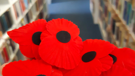 Knihovna i obě pobočky spustily prodej vlčích máků