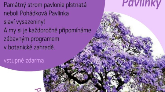 Pavlínka slaví třetí narozeniny