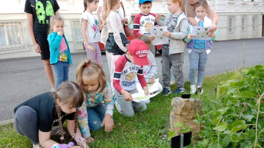 Oslava třetích zasazenin památného stromu "Pohádková Pavlínka" ve fotografiích