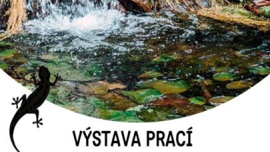 Mladí umělci se loňské literární výzvy zhostili na výbornou