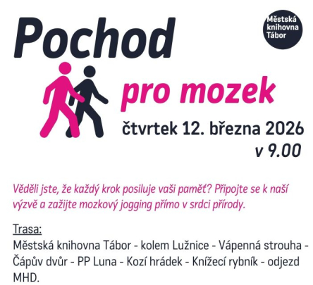 Pochod pro mozek
