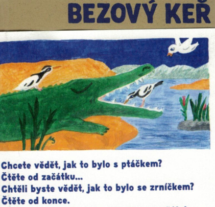 Letní čtení z knihy Terezy Horváthové Bezový keř