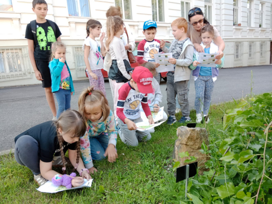 Oslava třetích zasazenin památného stromu "Pohádková Pavlínka" ve fotografiích