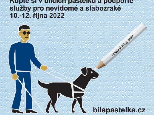 Bílá pastelka