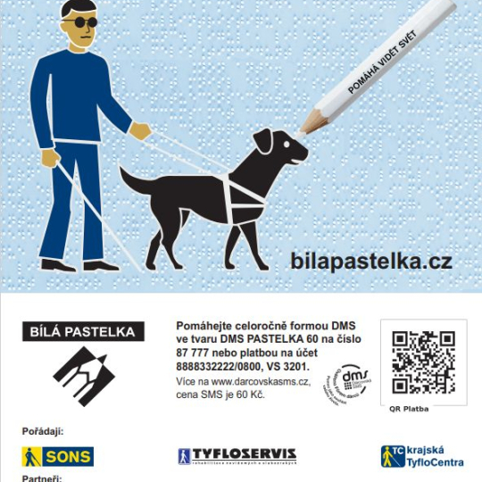 Bílá pastelka
