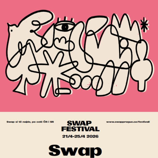 Oděvní swap