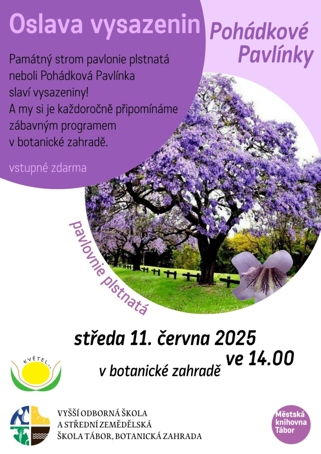 8b8fd3b5-vysazeniny-pavlinky-na-web.jpeg