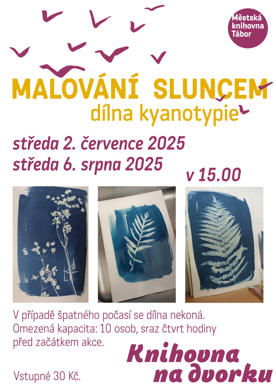 83151ab3-malovani-sluncem-kyanotypie-na-web.jpeg